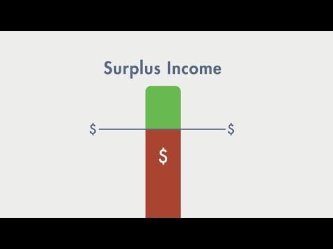 Surplus Income
